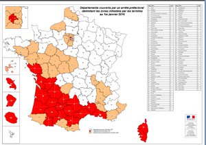 Carte infestation termites HERAULT